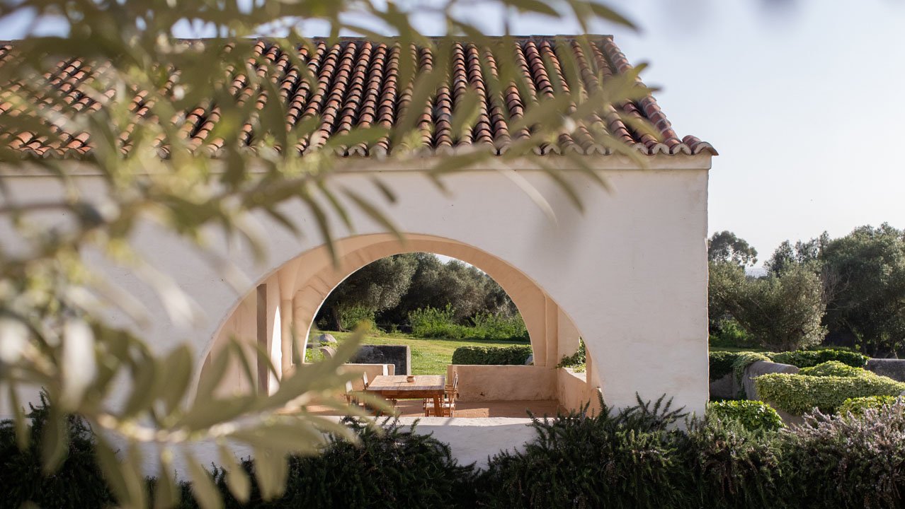 A whitewashed vaulted terrace looking out to the olive groves