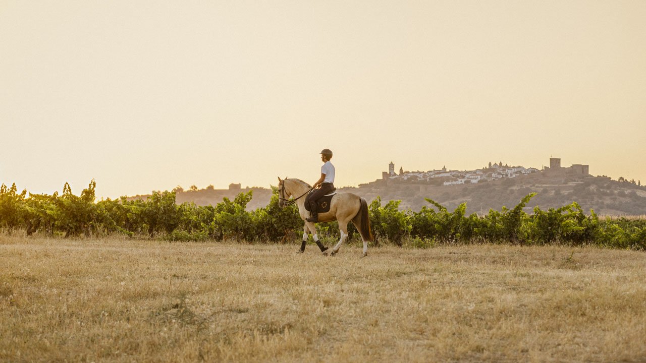 A rider crossing the vineyards with the hilltop village of Monsaraz beyond