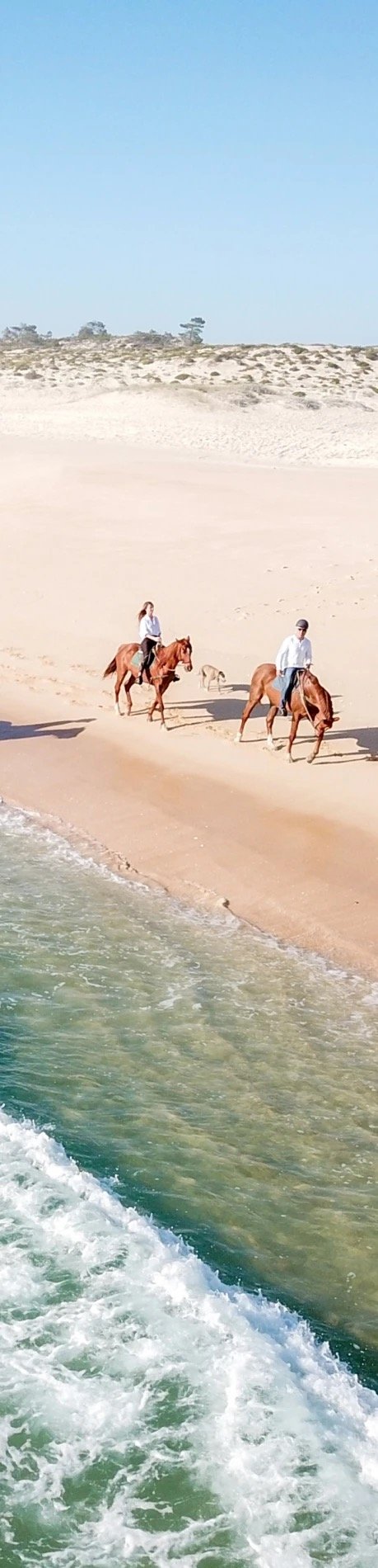 Riders on the Atlantic shore near the estate