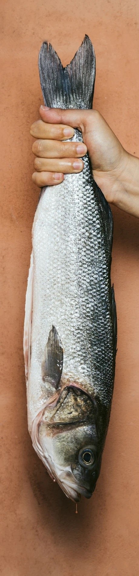 A fresh fish brought in for the estate's kitchens