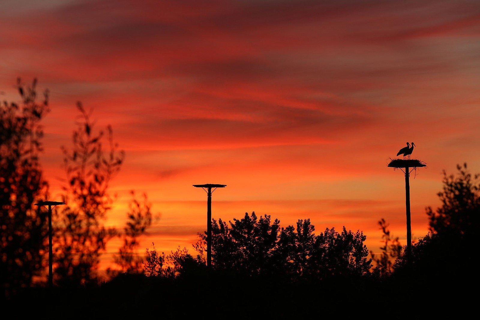 Sunset over the Alentejo plain and the estate's vines